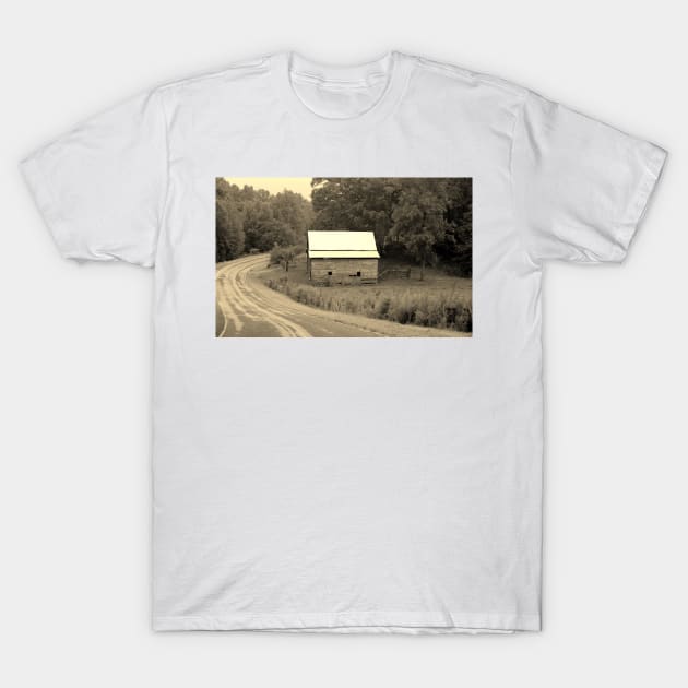 Old House In The Mountains T-Shirt by Cynthia48